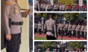 Screenshot_20251102_104331