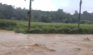 Screenshot_20251130_133705